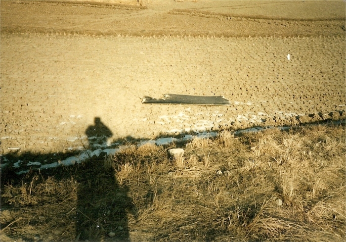 A large section of a rotor blade from the UH-60 Blackhawk helicopter resting in a dry rice paddy after the wire strike incident.