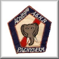 A Company, 159th Assault support Helicopter Battalion unit patch, circa 1970
