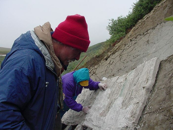 Dr. Gangloff and Gary Selinger place more plaster on Icky after some of the excess rock is cut away.